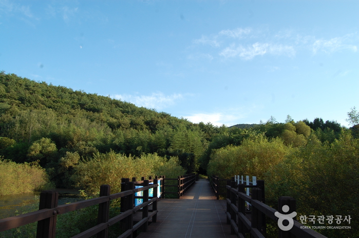 울주 대곡리 반구대 암각화