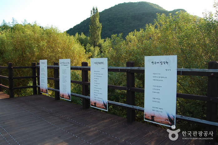 울주 대곡리 반구대 암각화