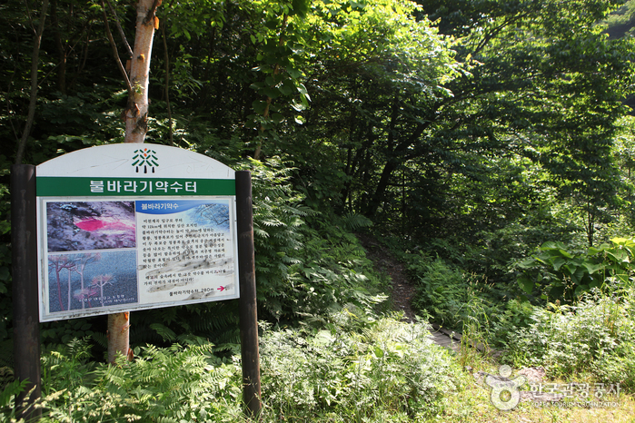 불바라기약수터