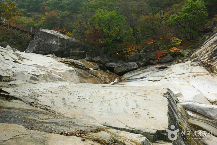 비선대