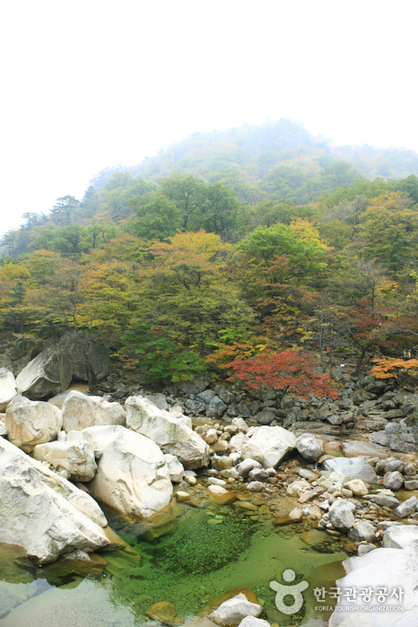 비선대