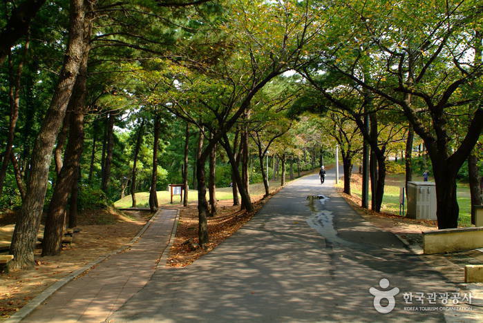 사라봉공원