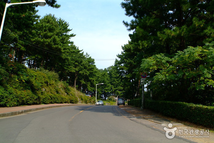 사라봉공원