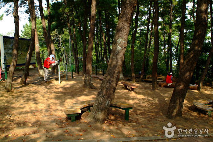 사라봉공원