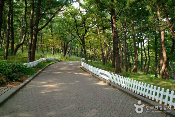 사라봉공원
