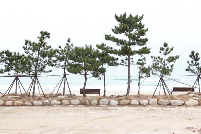 해파랑길 44코스