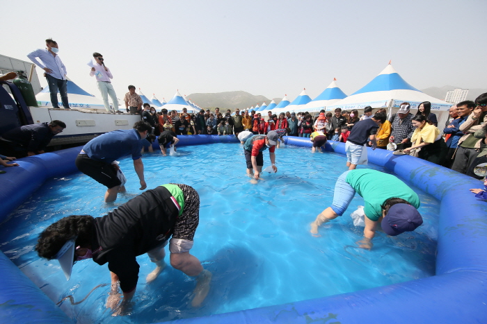 사천 삼천포항 수산물축제