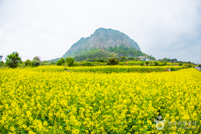 산방산(제주)