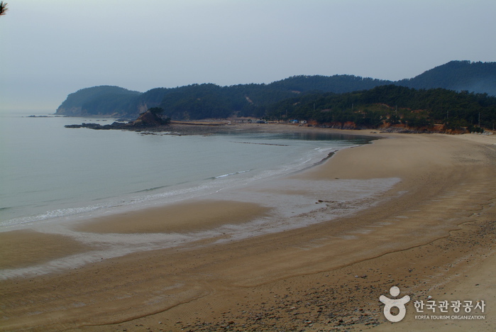 의항해수욕장