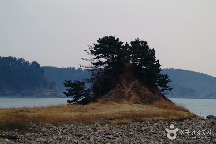 의항해수욕장