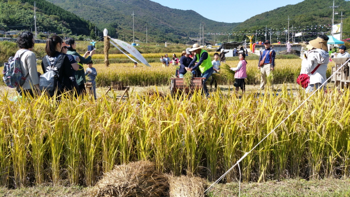 삼거동 청사초롱 체험마을