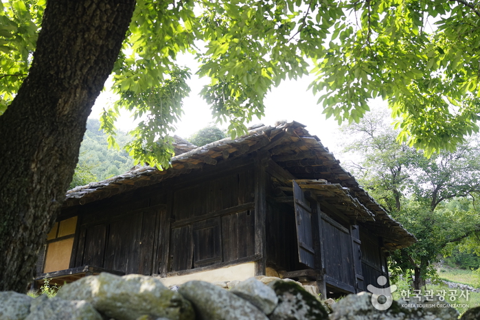 삼척 너와마을
