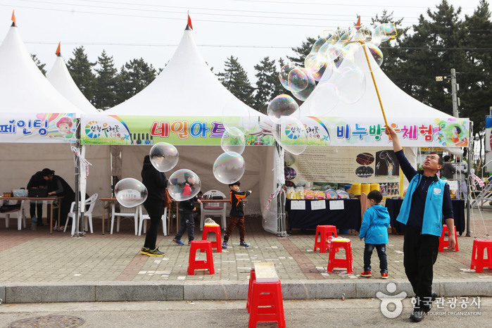 삼척 맹방유채꽃축제