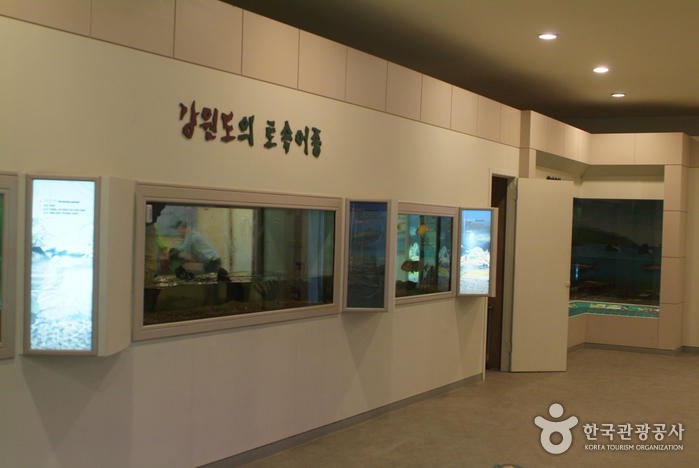 삼척 민물고기전시관