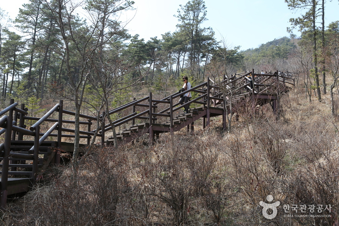 화성 우리꽃식물원