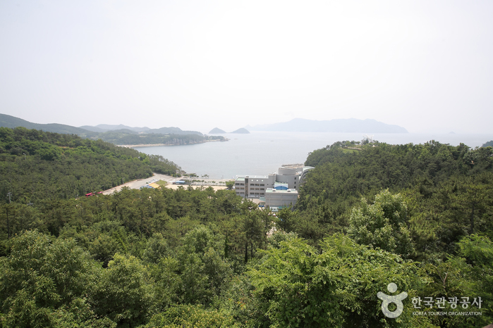 상족암군립공원