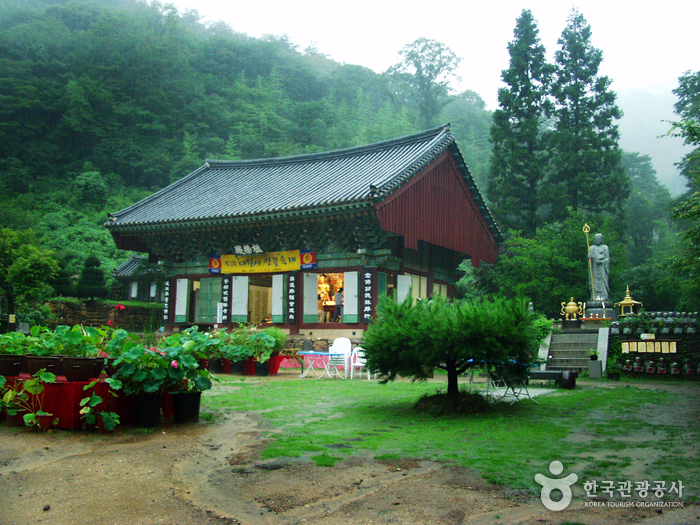 대원사(보성)