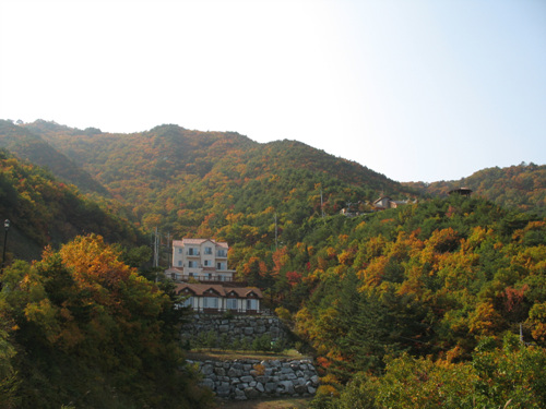 임해자연휴양림