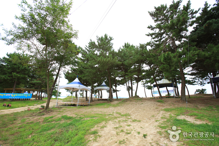 자은 백길해수욕장