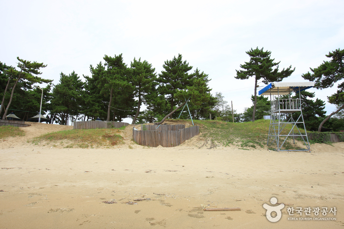 자은 백길해수욕장