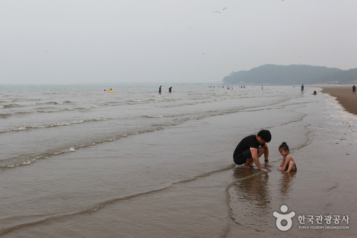 서천 갯벌 매력에 '푸~욱'