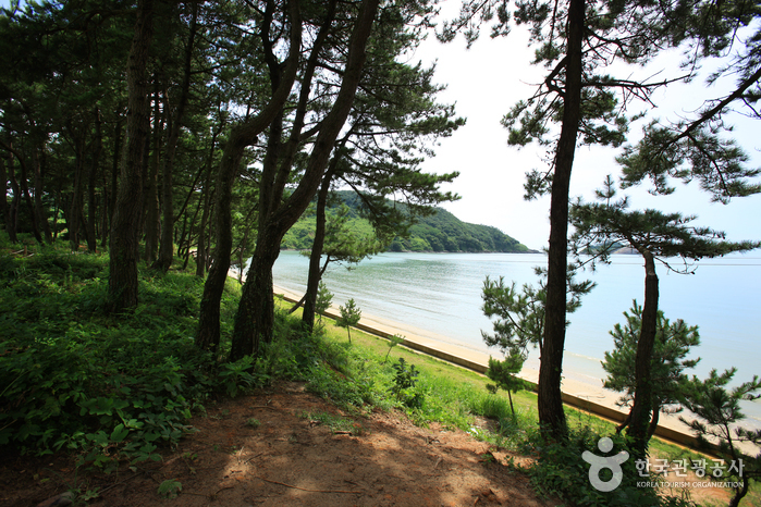 자은 분계해수욕장