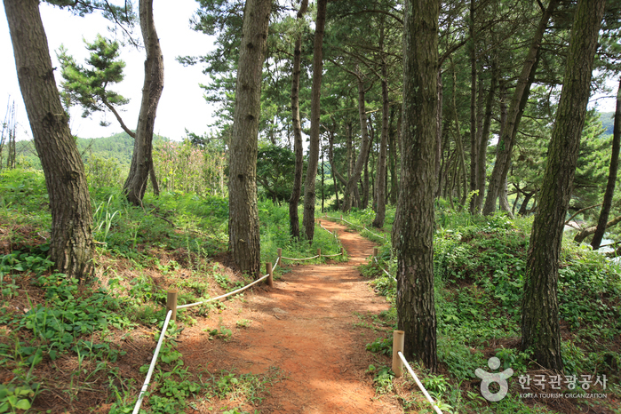 자은 분계해수욕장