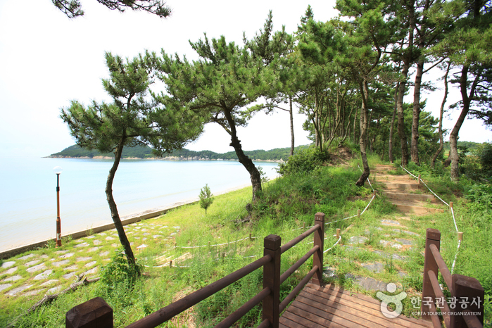 자은 분계해수욕장