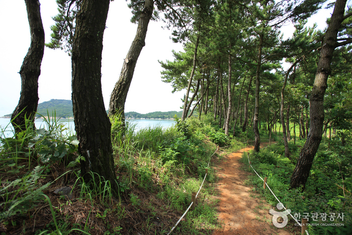 자은 분계해수욕장
