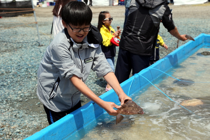 서천 자연산 광어 도미 축제