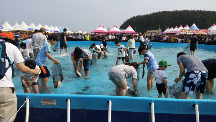 서천 자연산 광어 도미 축제