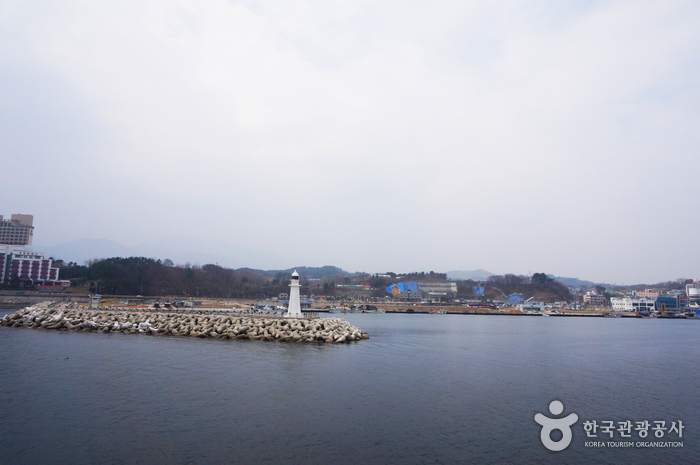 대포항