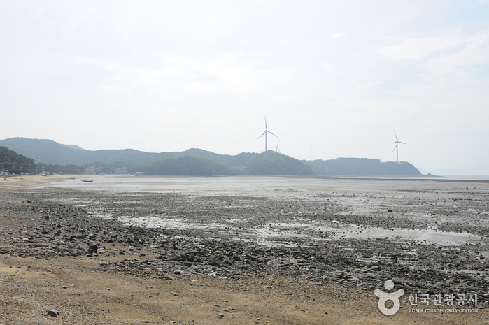 장경리해수욕장