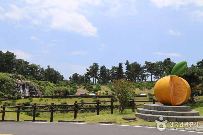 감귤박물관