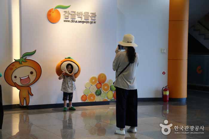 감귤박물관