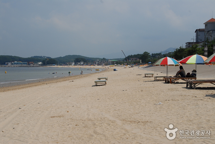 서해안 해수욕장을 따라 여행하다