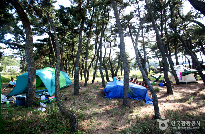 덕산해변