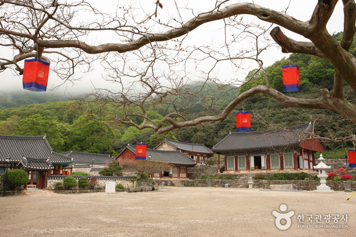 선운사(고창)