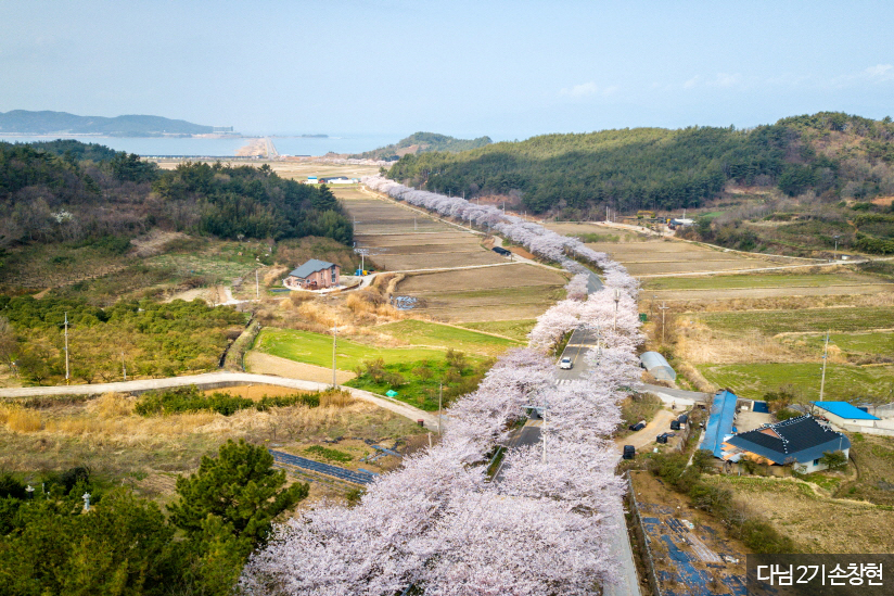 고흥만