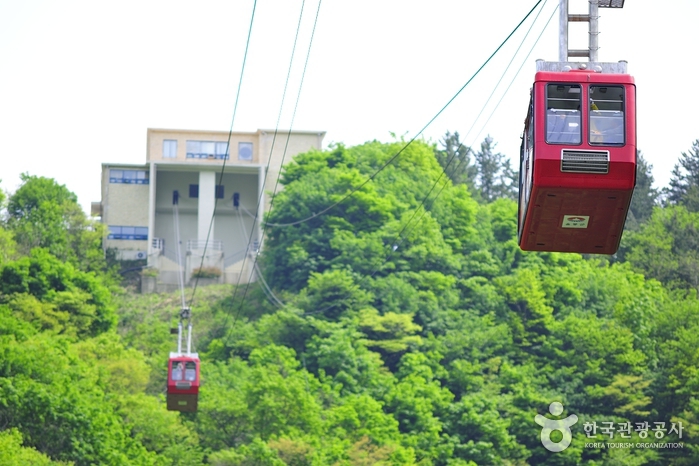 독도전망대 케이블카