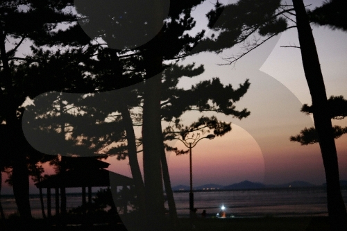 도리포
