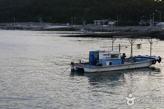 도리포