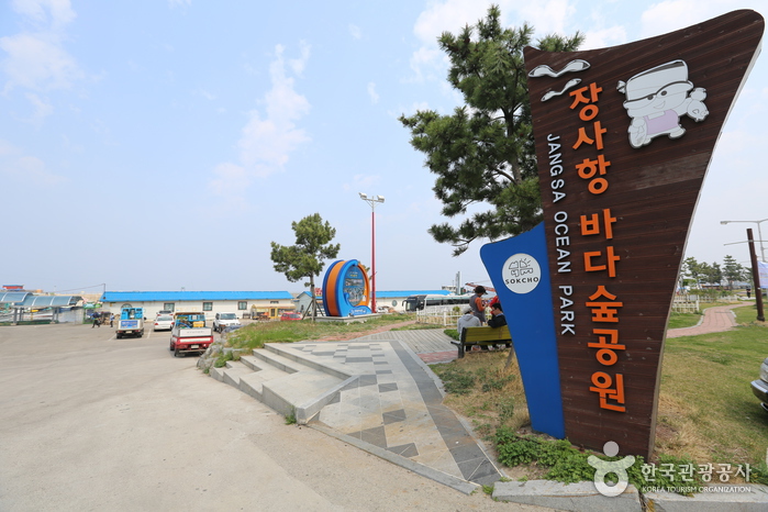 장사항