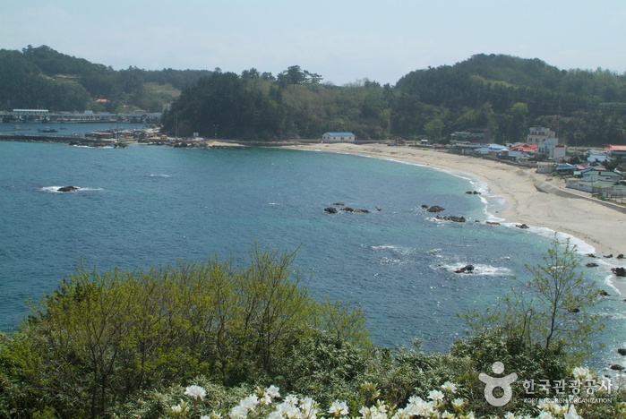 장호해수욕장(장호항, 장호해변)