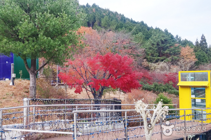 남해나비생태공원