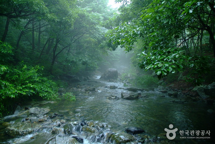 성주산자연휴양림