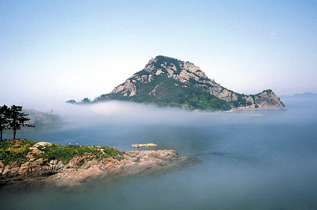 대장도