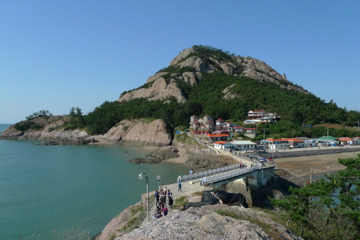 대장도