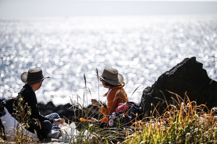 제주올레걷기축제 2019