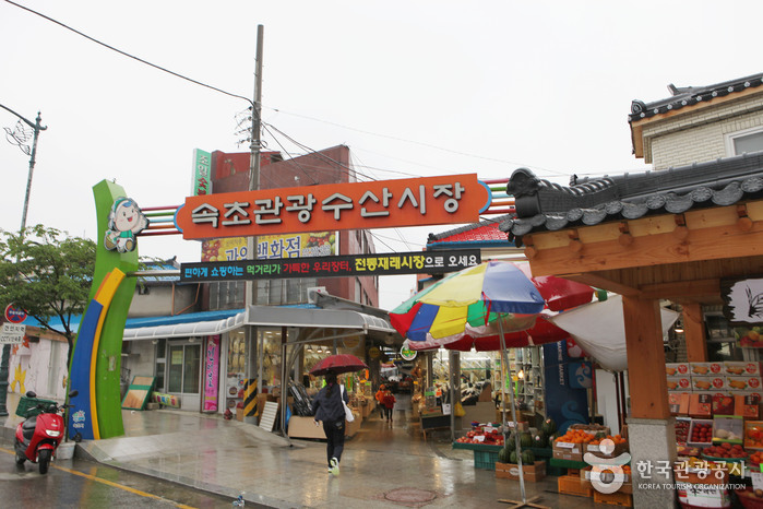 속초관광수산시장 (구: 중앙시장)